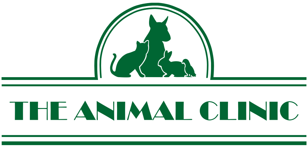 theanimalclinic