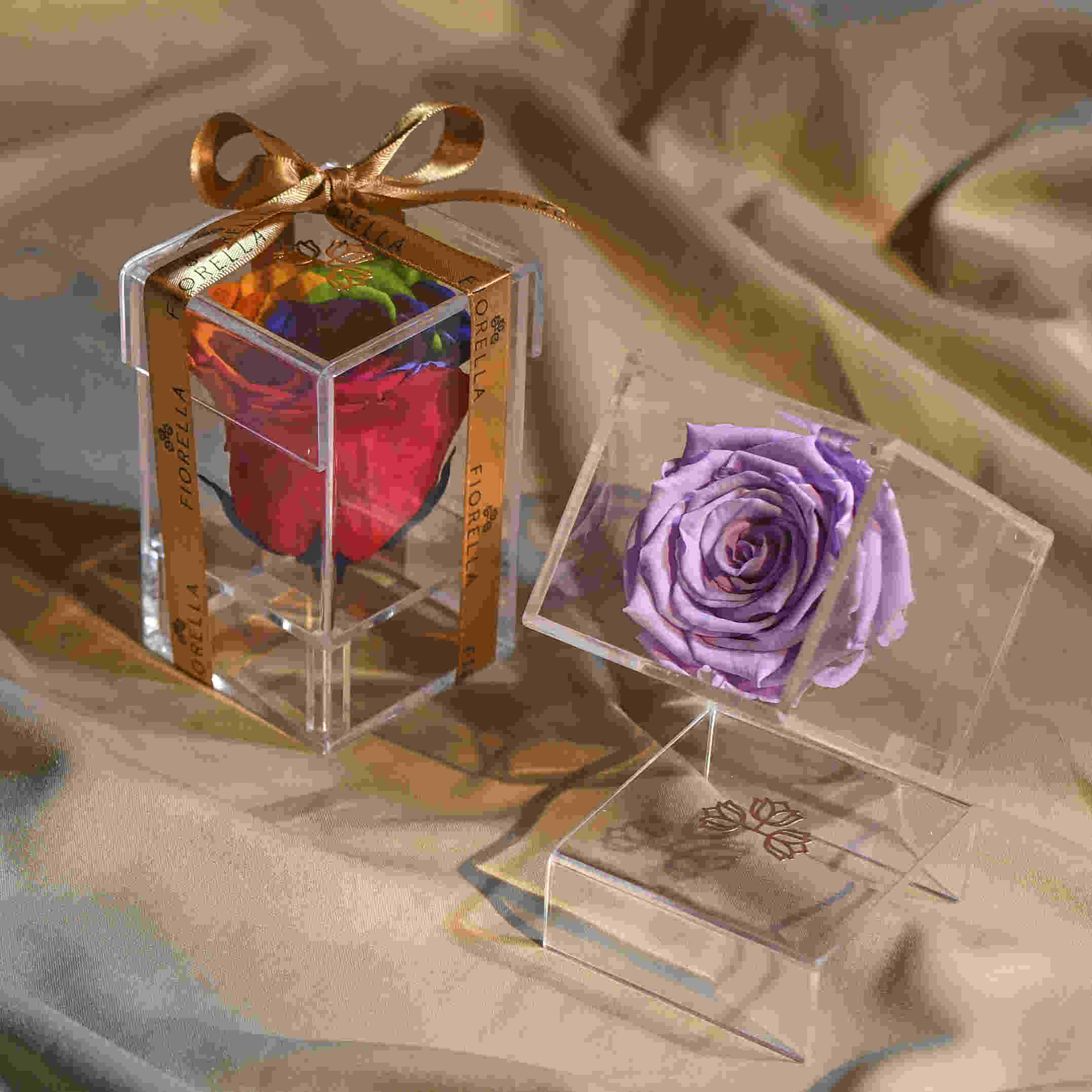 Fiorella – Florist in Chandigarh and Mohali